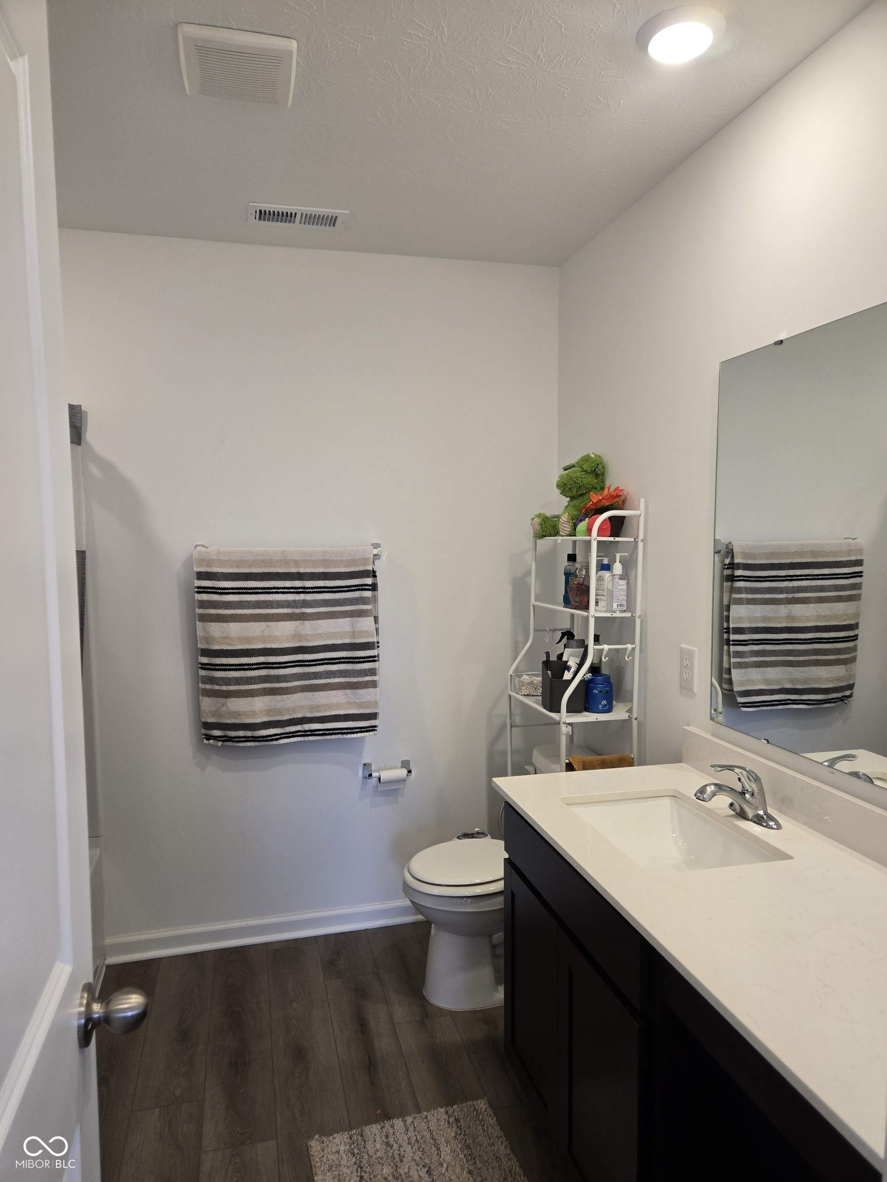 6221 Countryside Forge Way Indianapolis, IN 46259 - Photo 19 of 29