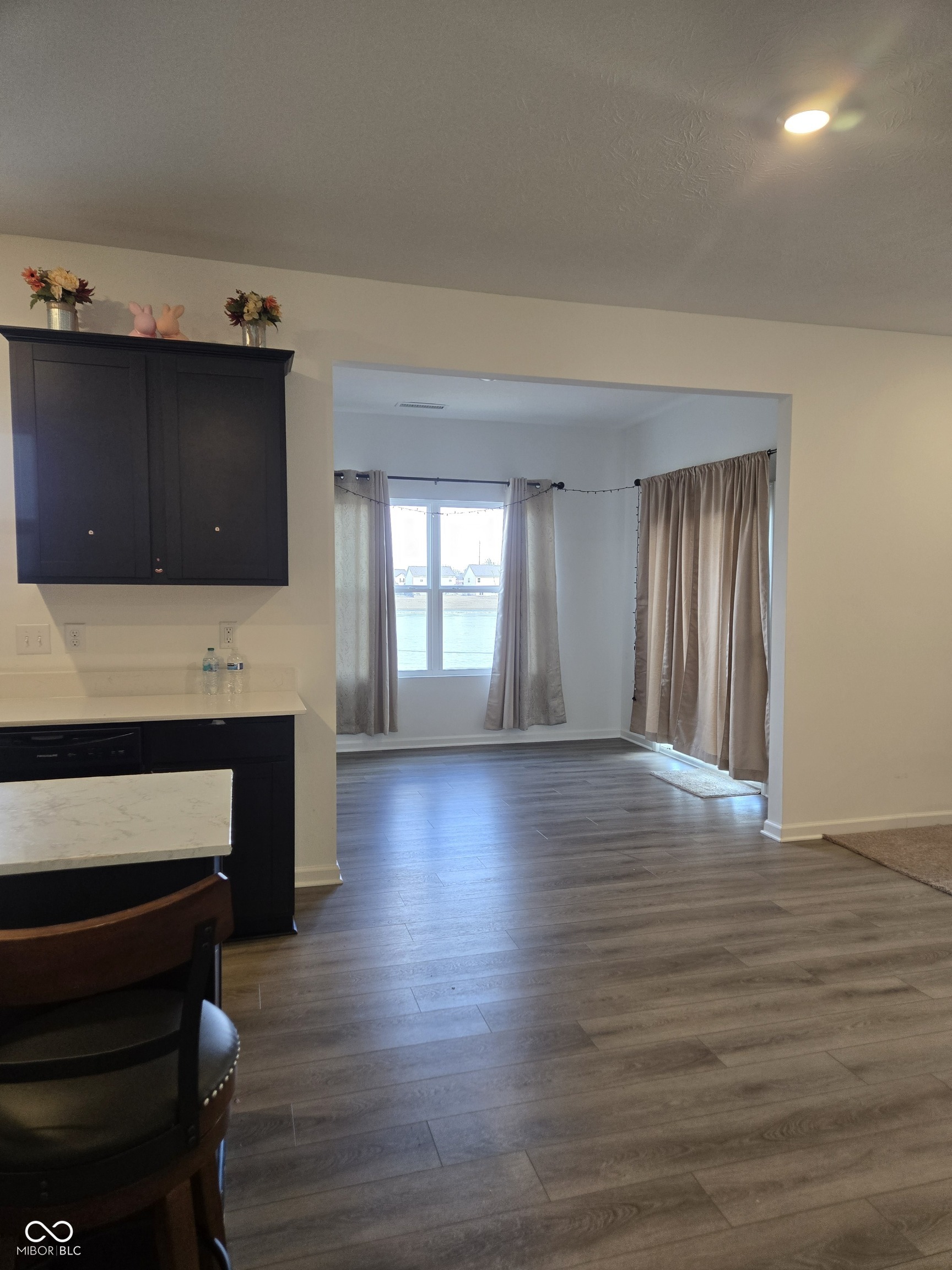 6221 Countryside Forge Way Indianapolis, IN 46259 - Photo 3 of 29