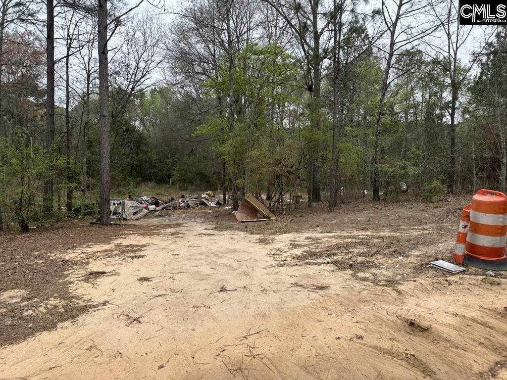 344 Terry Road Pelion, SC 29123 - Photo 4 of 9