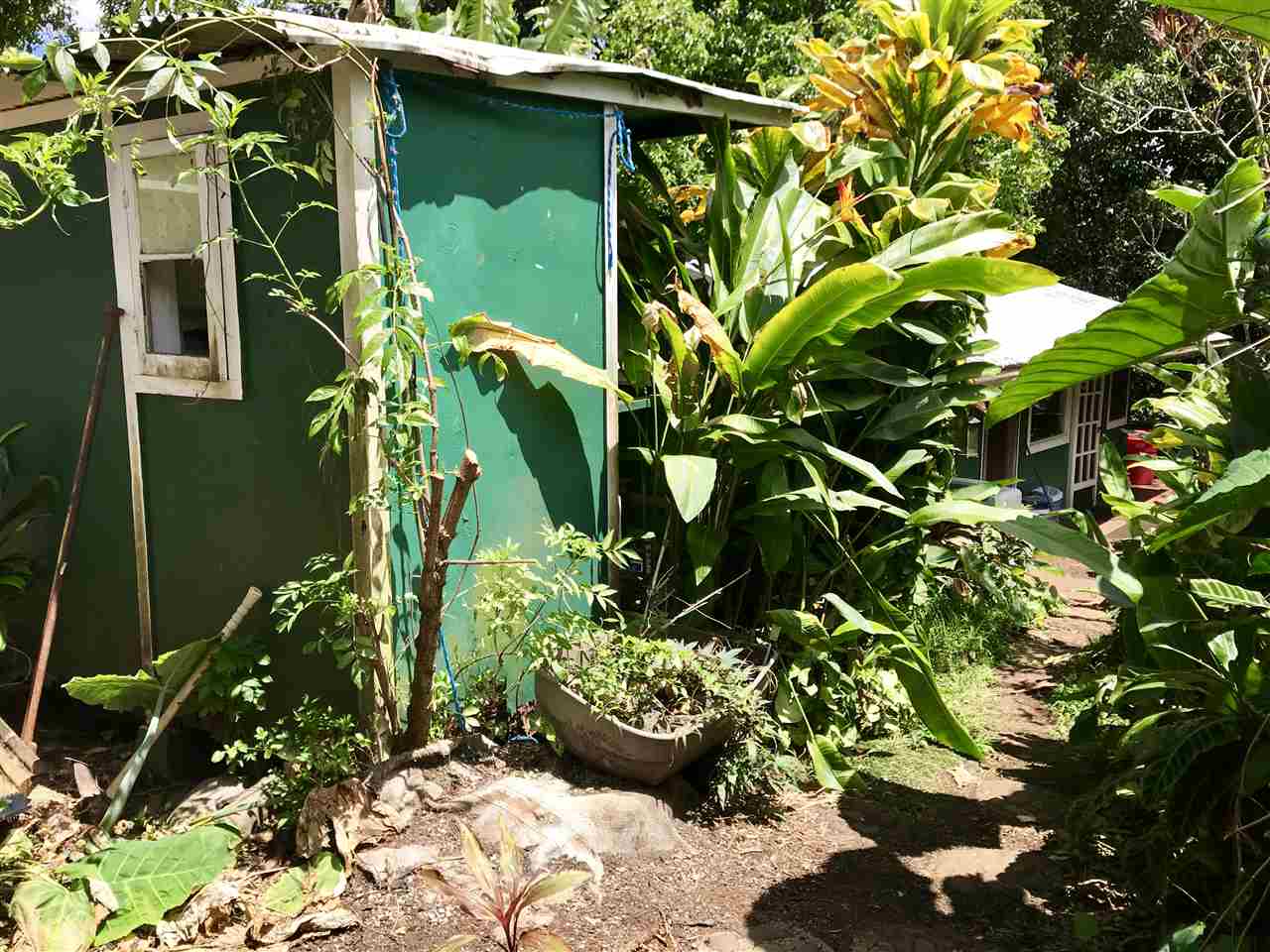 2695 Kaupakalua Road Haiku, HI 96708 - Photo 20 of 27 Gallery Image 20