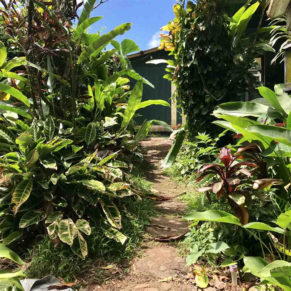2695 Kaupakalua Road Haiku, HI 96708 - Photo 6 of 27 Gallery Image 6