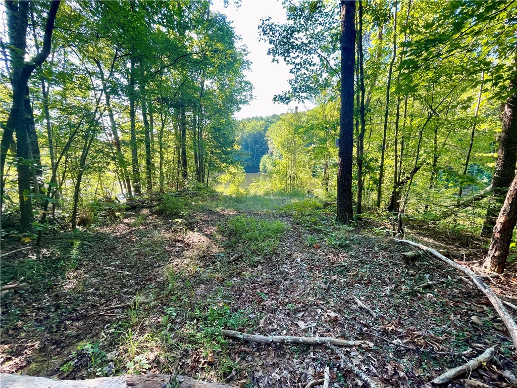 0 Stoney Creek Trail Salem, SC 29676 - Photo 11 of 26 Gallery Image 11