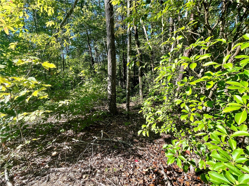0 Stoney Creek Trail Salem, SC 29676 - Photo 16 of 26 Gallery Image 16