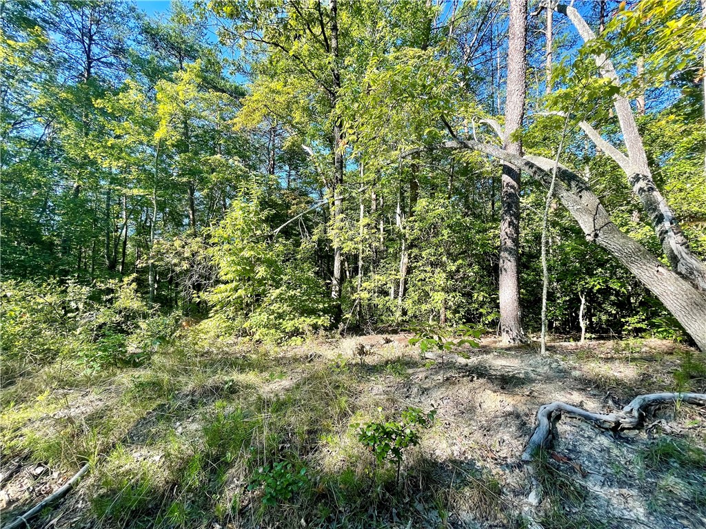 0 Stoney Creek Trail Salem, SC 29676 - Photo 18 of 26 Gallery Image 18
