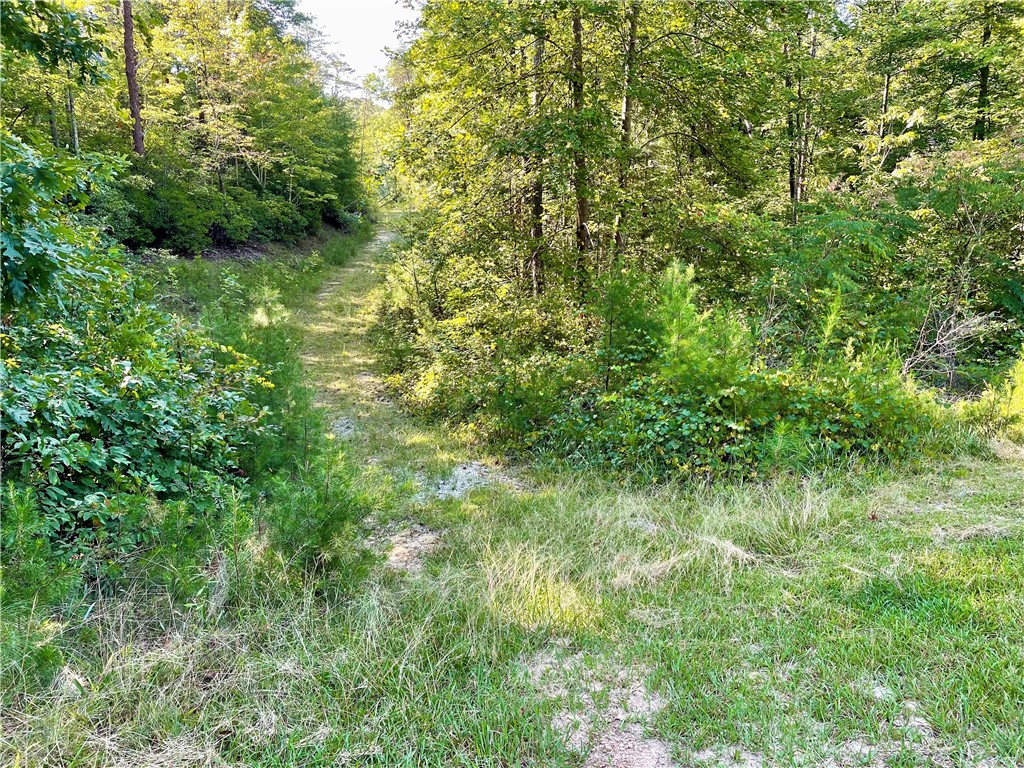 0 Stoney Creek Trail Salem, SC 29676 - Photo 2 of 26 Gallery Image 2