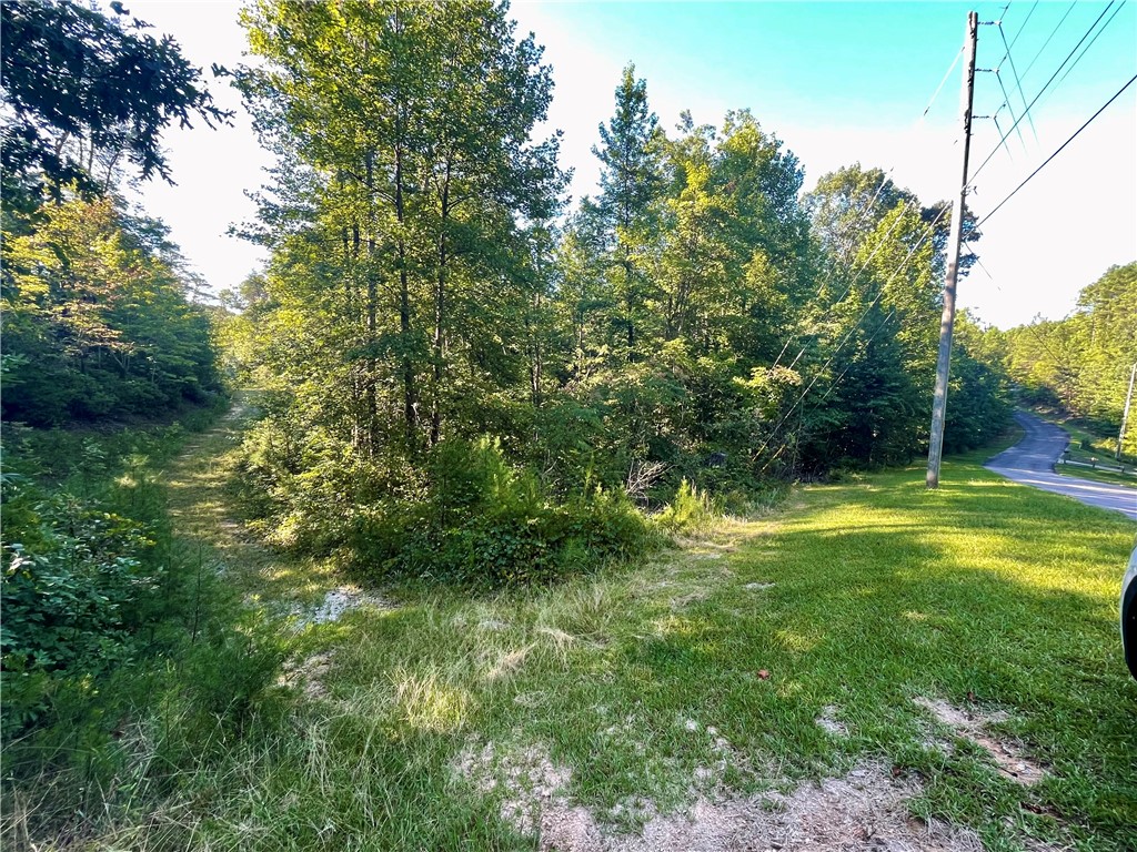 0 Stoney Creek Trail Salem, SC 29676 - Photo 3 of 26 Gallery Image 3