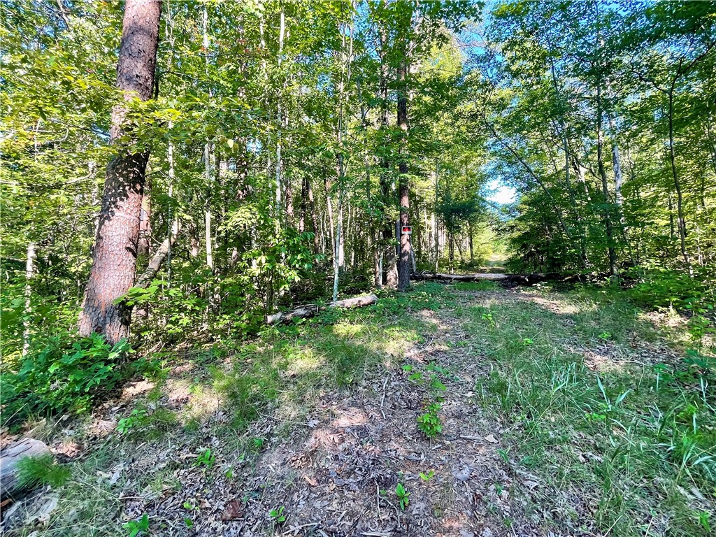 0 Stoney Creek Trail Salem, SC 29676 - Photo 4 of 26 Gallery Image 4