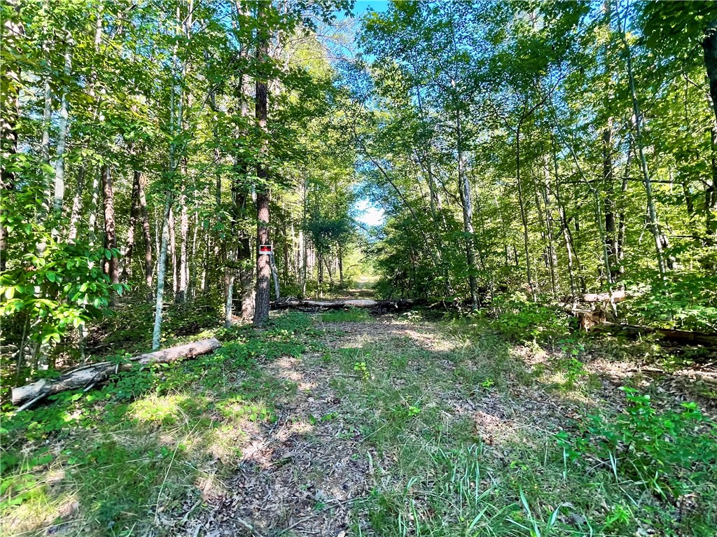0 Stoney Creek Trail Salem, SC 29676 - Photo 5 of 26 Gallery Image 5