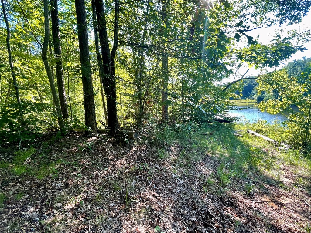 0 Stoney Creek Trail Salem, SC 29676 - Photo 6 of 26 Gallery Image 6
