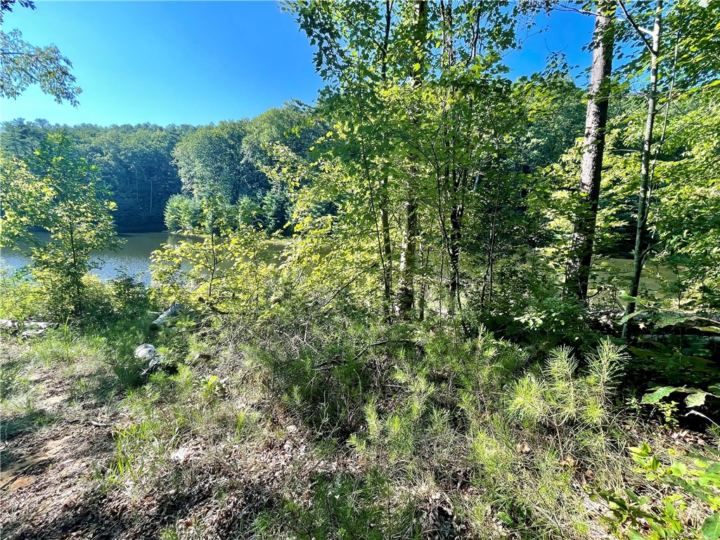 0 Stoney Creek Trail Salem, SC 29676 - Photo 7 of 26 Gallery Image 7