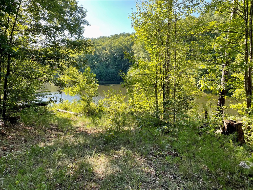 0 Stoney Creek Trail Salem, SC 29676 - Photo 10 of 26 Gallery Image 10