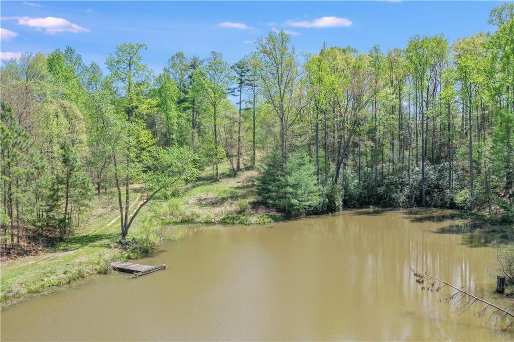 602 Gibson Road Clarkesville, GA 30523 - Photo 11 of 19 a view of a lake with a yard