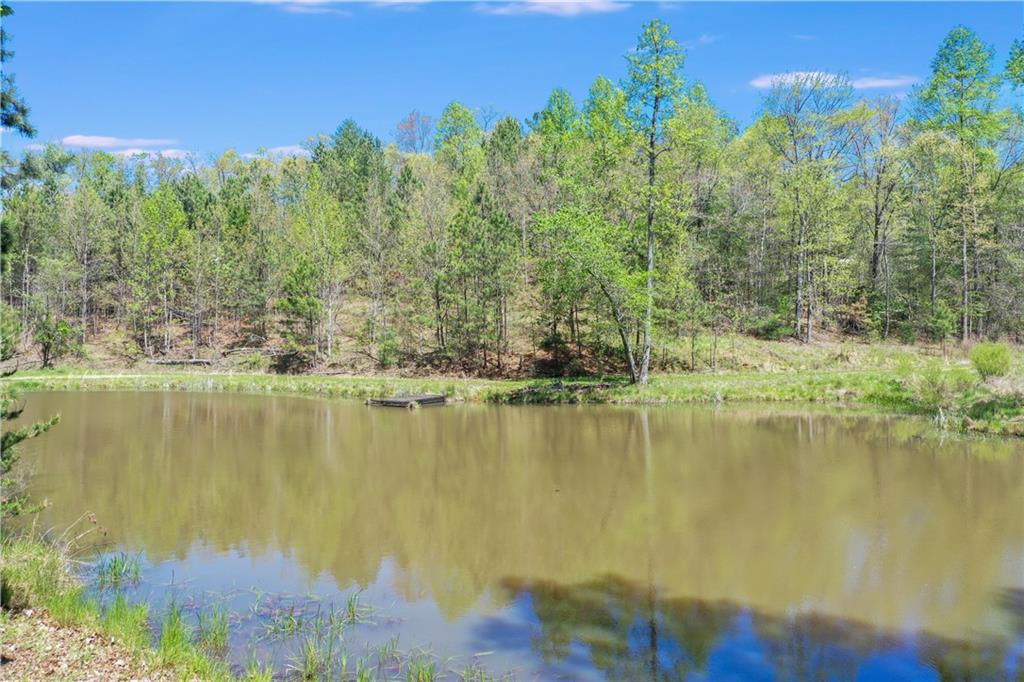 602 Gibson Road Clarkesville, GA 30523 - Photo 12 of 19 a view of a lake with houses in the back