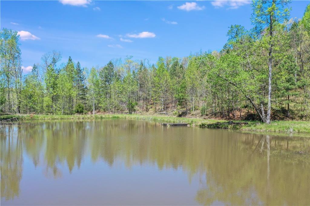 602 Gibson Road Clarkesville, GA 30523 - Photo 13 of 19 a view of a lake with a city