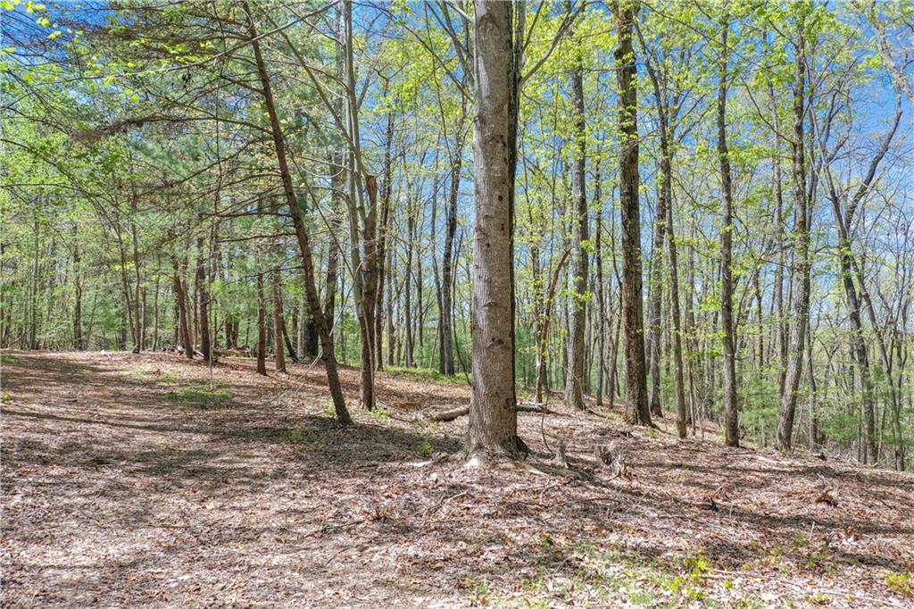602 Gibson Road Clarkesville, GA 30523 - Photo 17 of 19 a backyard of a house with lots of trees