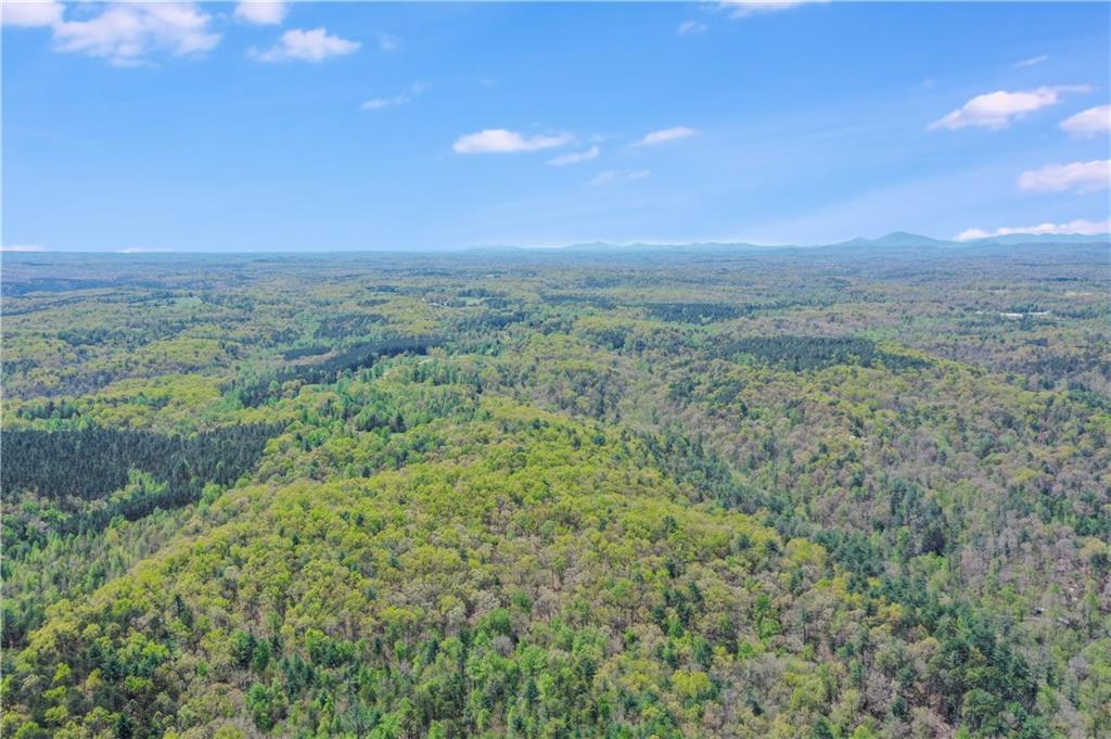 602 Gibson Road Clarkesville, GA 30523 - Photo 18 of 19 a view of a green field