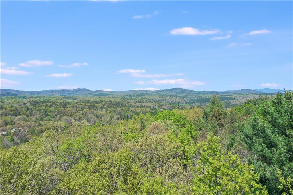 602 Gibson Road Clarkesville, GA 30523 - Photo 19 of 19 a view of a city