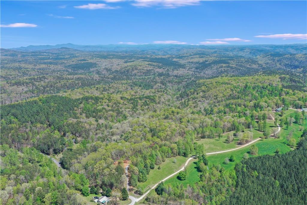 602 Gibson Road Clarkesville, GA 30523 - Photo 3 of 19 a view of a yard with an outdoor space