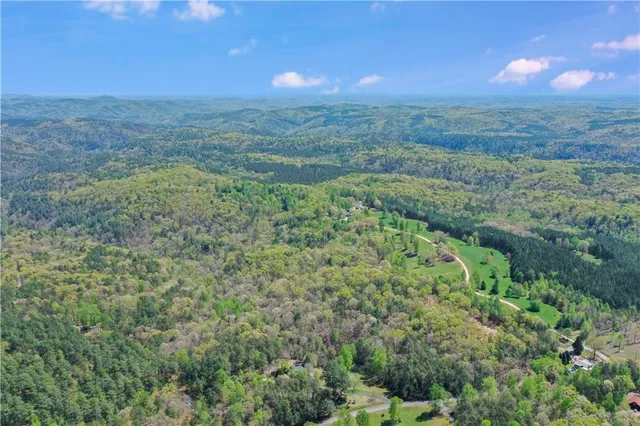 a view of a green field with lots of bushes