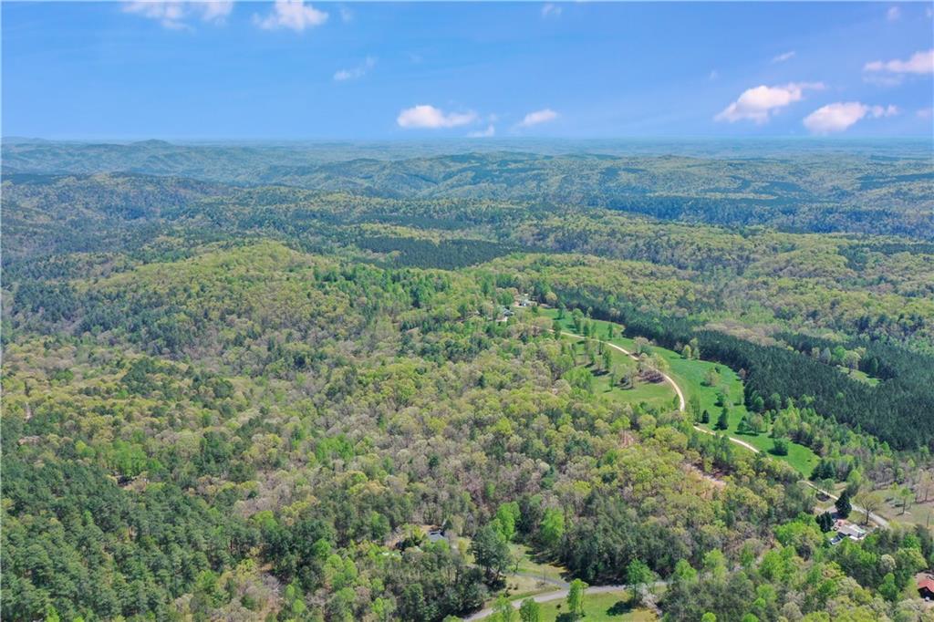 602 Gibson Road Clarkesville, GA 30523 - Photo 5 of 19 a view of a green field with lots of bushes