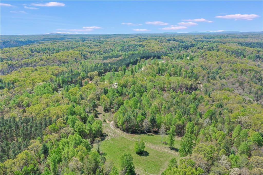 602 Gibson Road Clarkesville, GA 30523 - Photo 7 of 19 a view of a lush green space