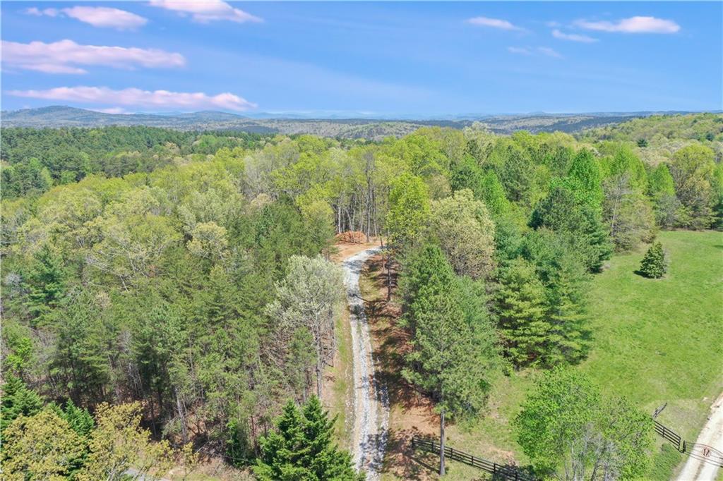 602 Gibson Road Clarkesville, GA 30523 - Photo 9 of 19 a view of an outdoor space and a yard