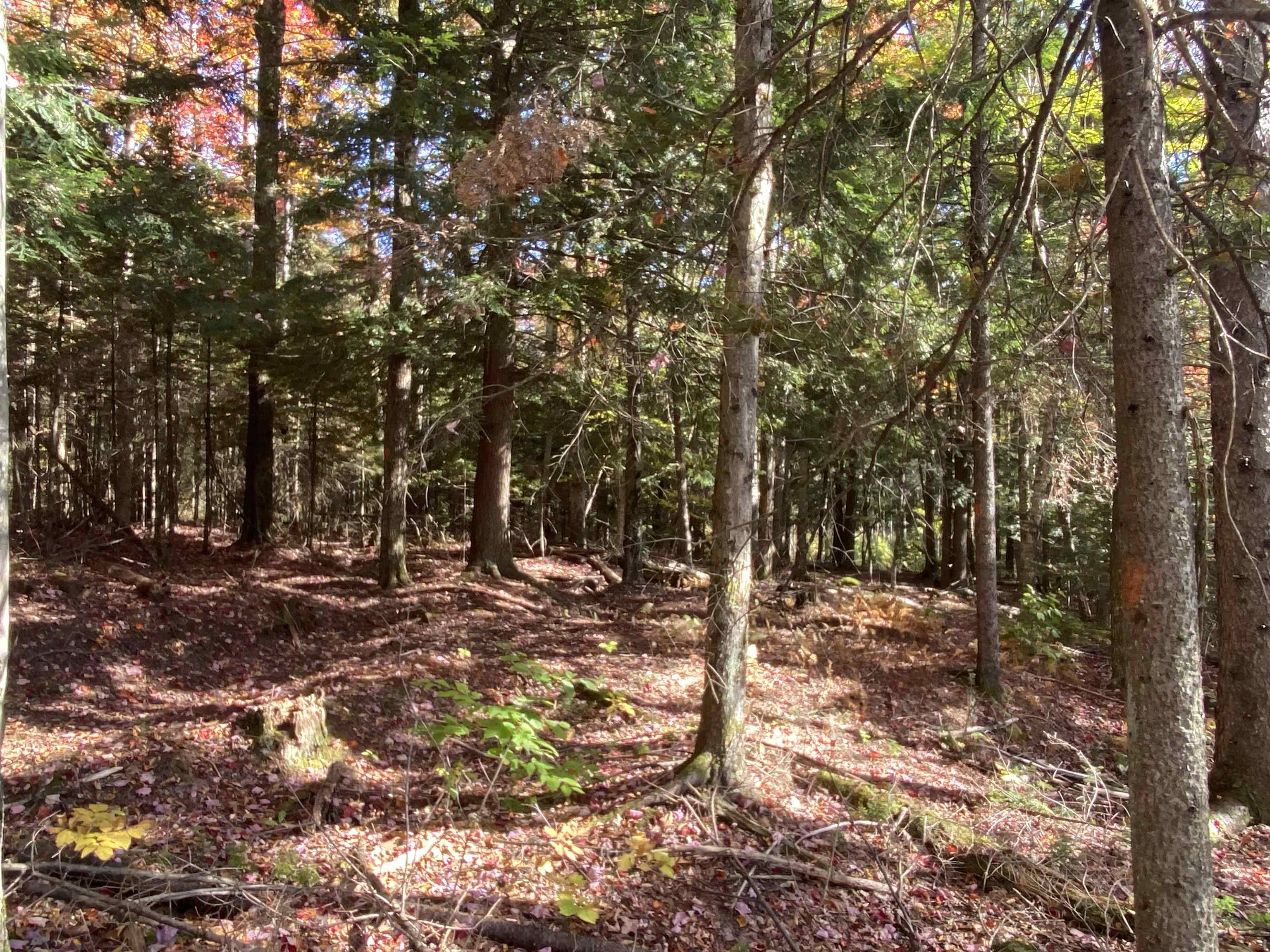 1591 Bunker Hill Road, Unit 2 Hardwick, VT 05843 - Photo 3 of 10