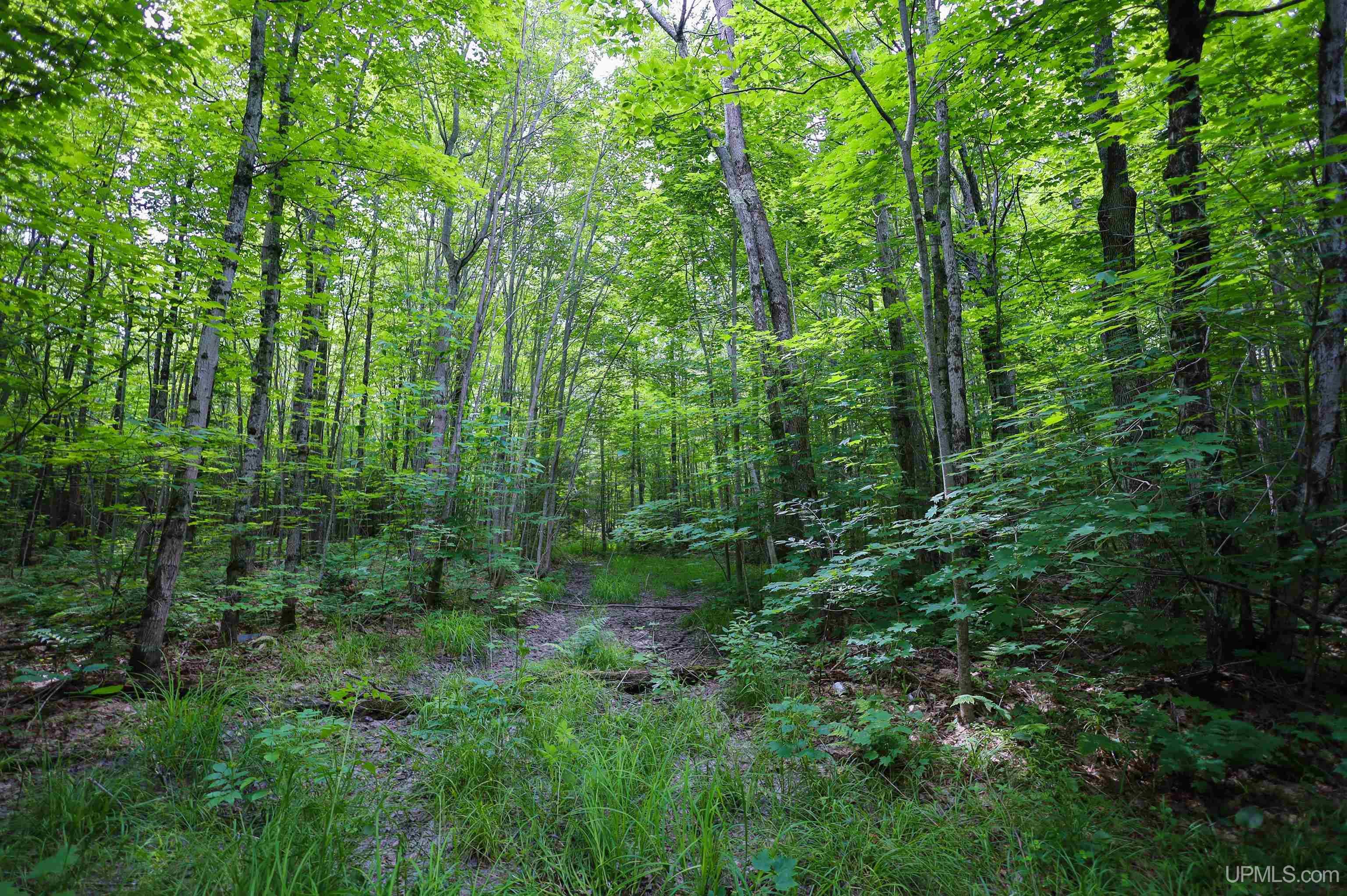 Tbd Sigan Road Marquette, MI 49855 - Photo 8 of 32