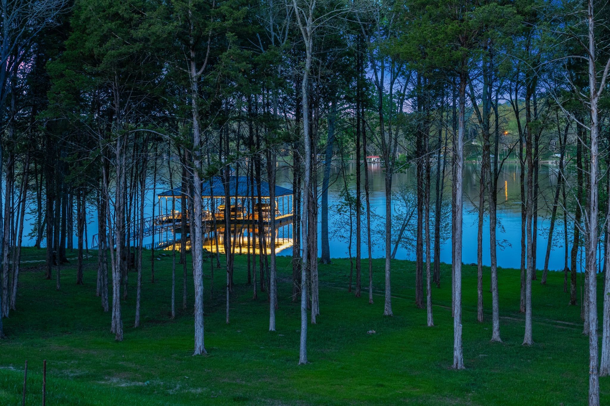 8520 Saundersville Road Mount Juliet, TN 37122 - Photo 68 of 70 a view of a garden