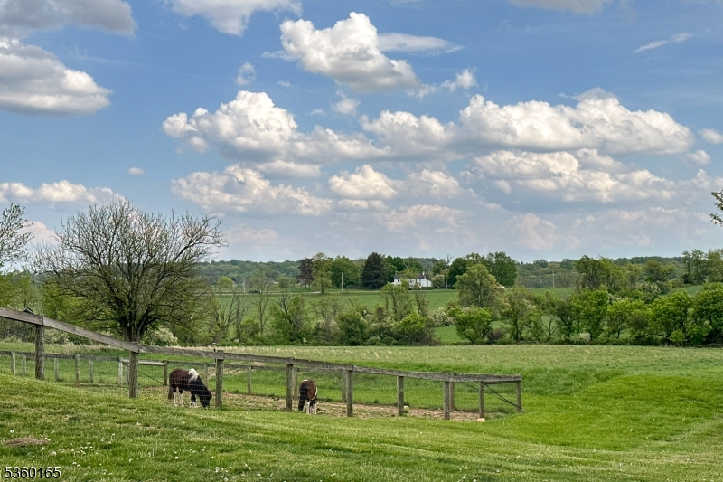 760 Rosemont Ringoes Road Stockton, NJ 08559 - Photo 48 of 48