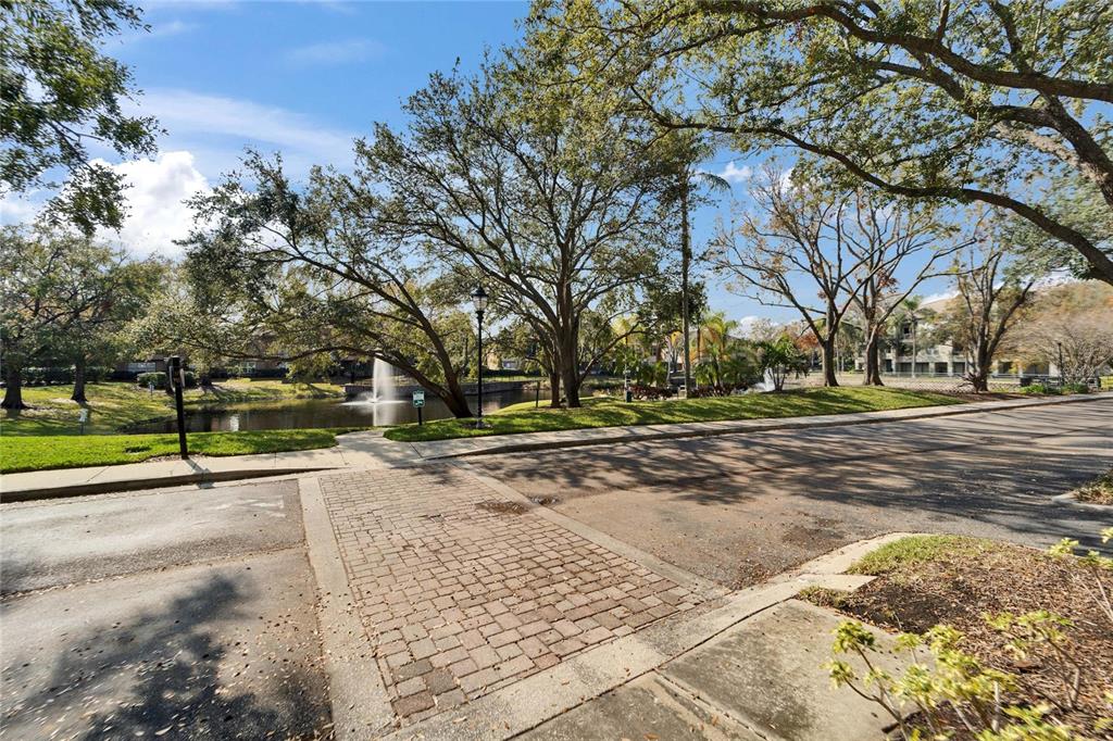 845 Normandy Trace Road Tampa, FL 33602 - Photo 33 of 53