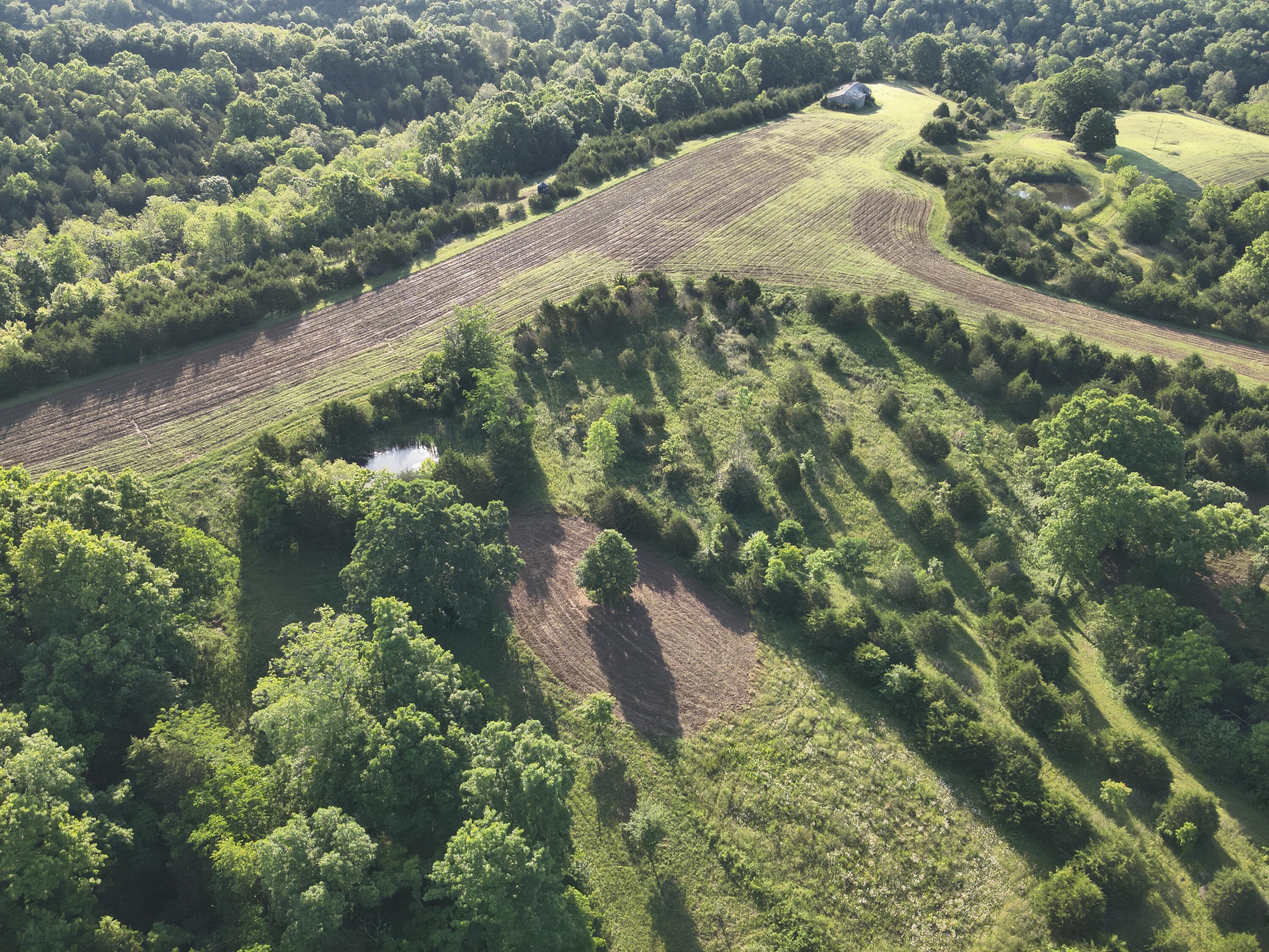 0 Mann Road Mount Olivet, KY 41064 - Photo 27 of 46