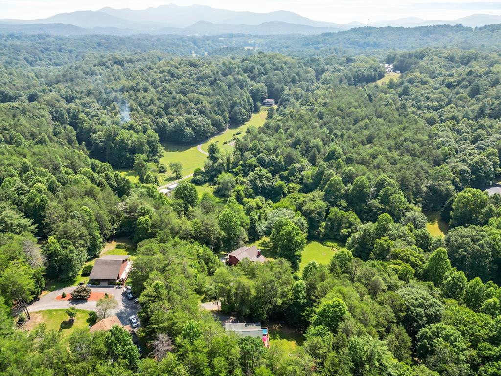 126 Bee Tree Lane Murphy, NC 28906 - Photo 69 of 71
