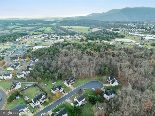 a view of a city with lush green forest