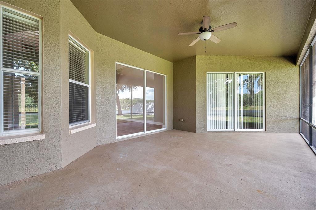 4812 Walnut Ridge Road Land O' Lakes, FL 34638 - Photo 45 of 74