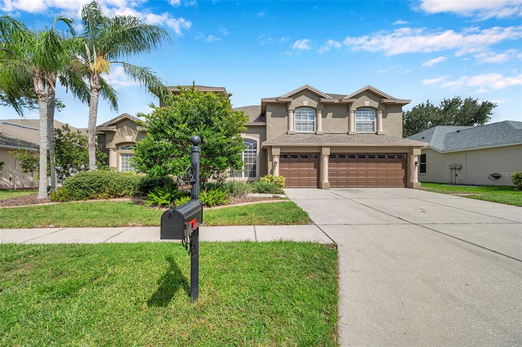 4812 Walnut Ridge Road Land O' Lakes, FL 34638 - Photo 50 of 74