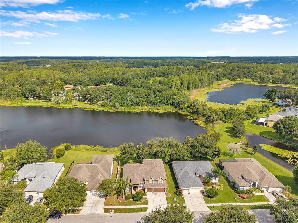 4812 Walnut Ridge Road Land O' Lakes, FL 34638 - Photo 53 of 74