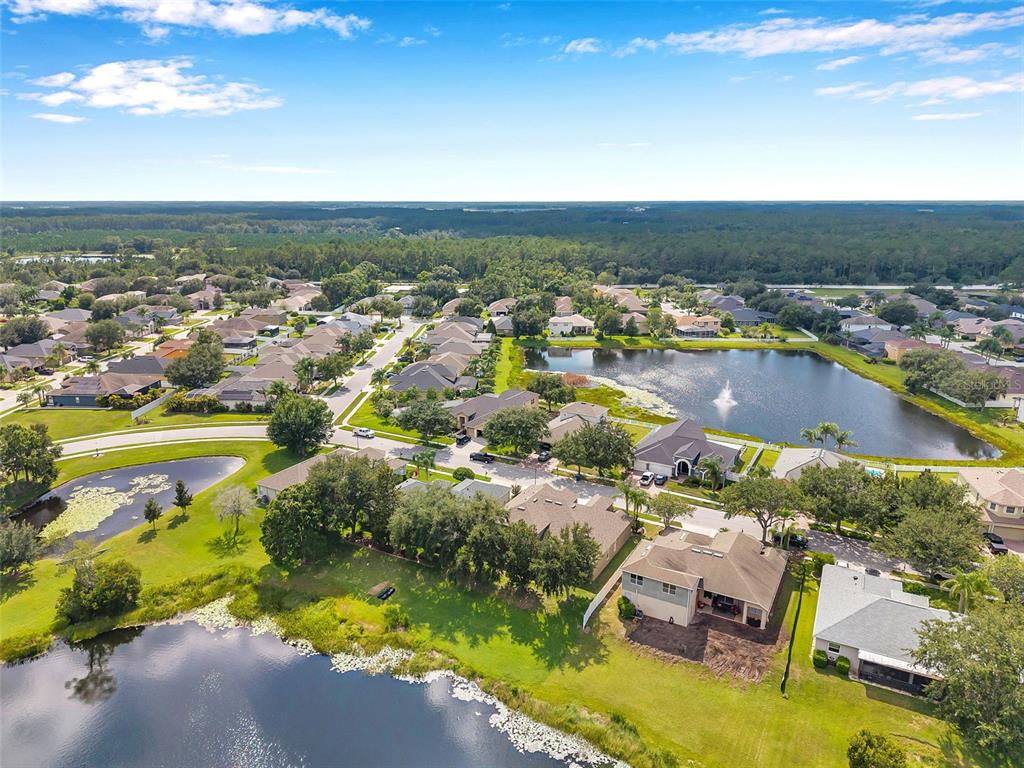 4812 Walnut Ridge Road Land O' Lakes, FL 34638 - Photo 55 of 74