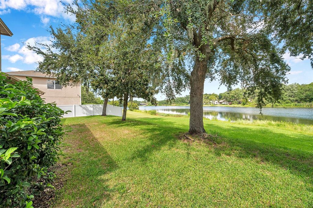 4812 Walnut Ridge Road Land O' Lakes, FL 34638 - Photo 63 of 74