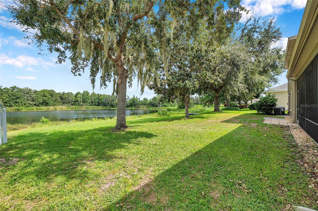 4812 Walnut Ridge Road Land O' Lakes, FL 34638 - Photo 64 of 74
