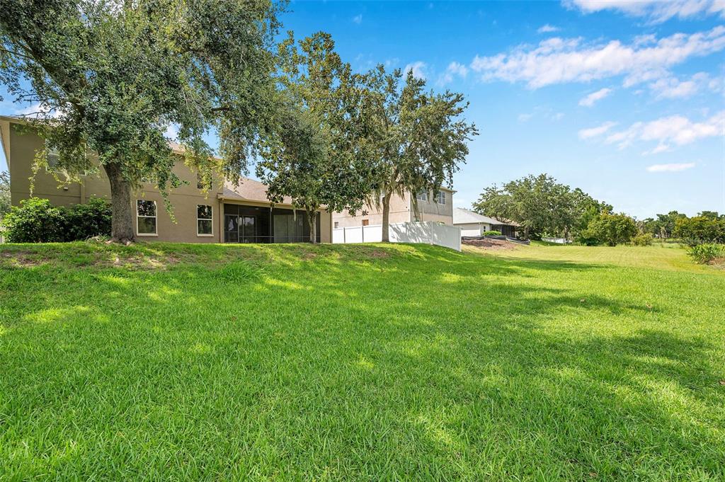 4812 Walnut Ridge Road Land O' Lakes, FL 34638 - Photo 65 of 74