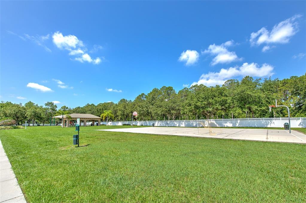 4812 Walnut Ridge Road Land O' Lakes, FL 34638 - Photo 68 of 74