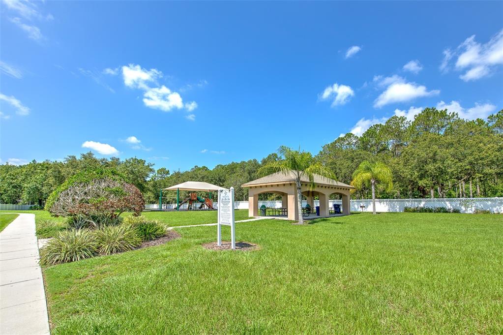 4812 Walnut Ridge Road Land O' Lakes, FL 34638 - Photo 69 of 74