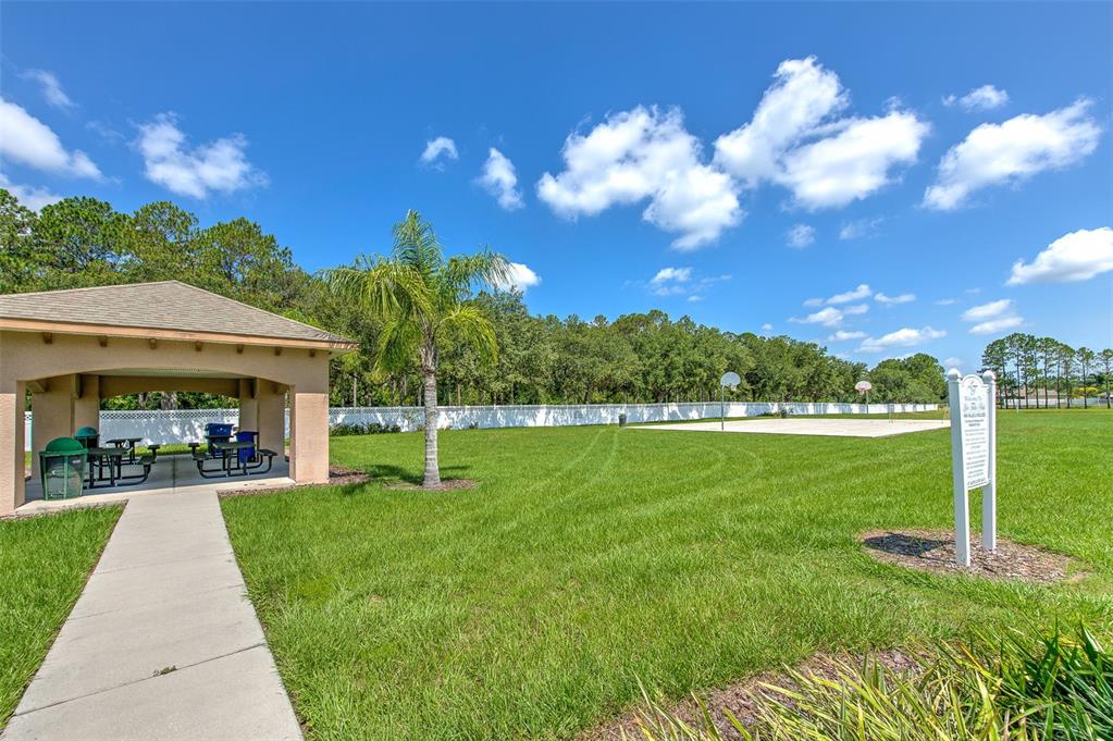 4812 Walnut Ridge Road Land O' Lakes, FL 34638 - Photo 71 of 74