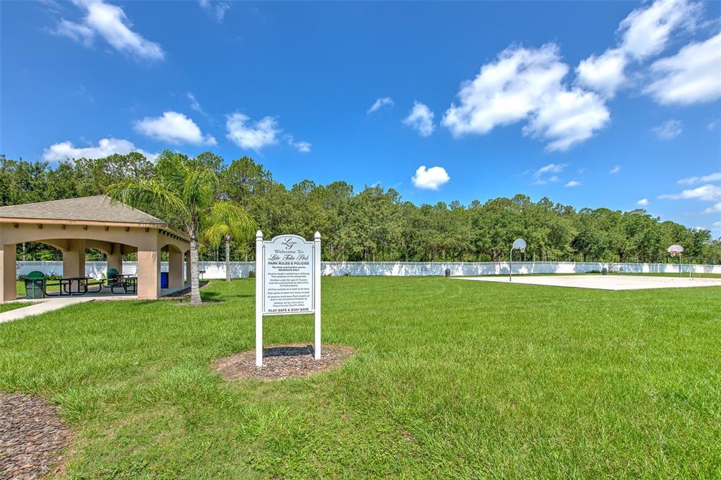 4812 Walnut Ridge Road Land O' Lakes, FL 34638 - Photo 72 of 74