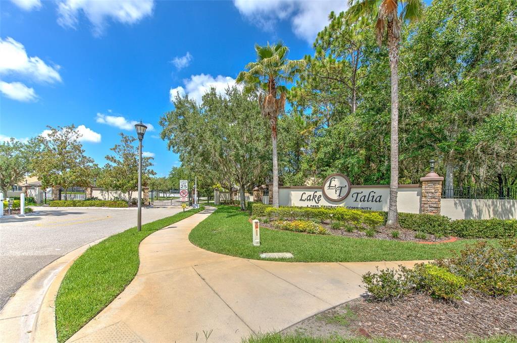 4812 Walnut Ridge Road Land O' Lakes, FL 34638 - Photo 73 of 74