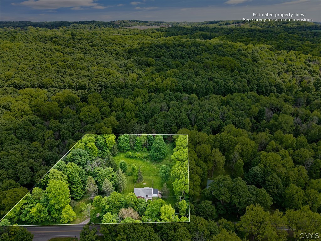 2696 Lyons Road Camillus, NY 13031 - Photo 28 of 31