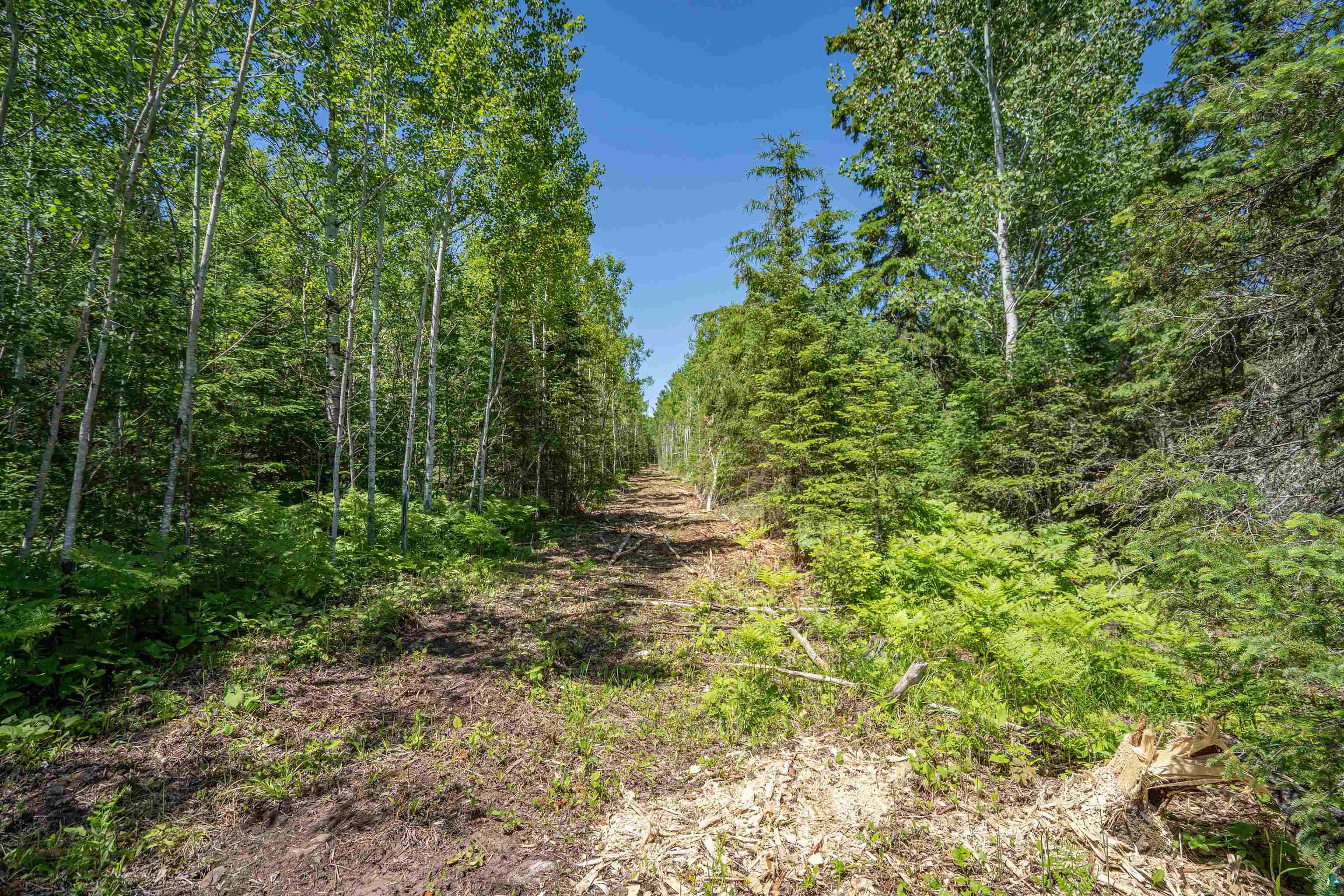 Xxx1 Wildwood Road Duluth, MN 55804 - Photo 20 of 25