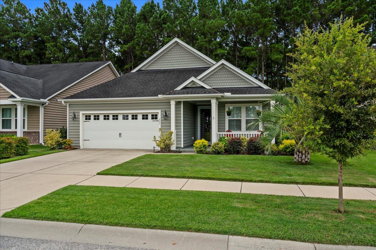 205 Overcup Loop Summerville, SC 29486 - Photo 3 of 53 03-SNY09060