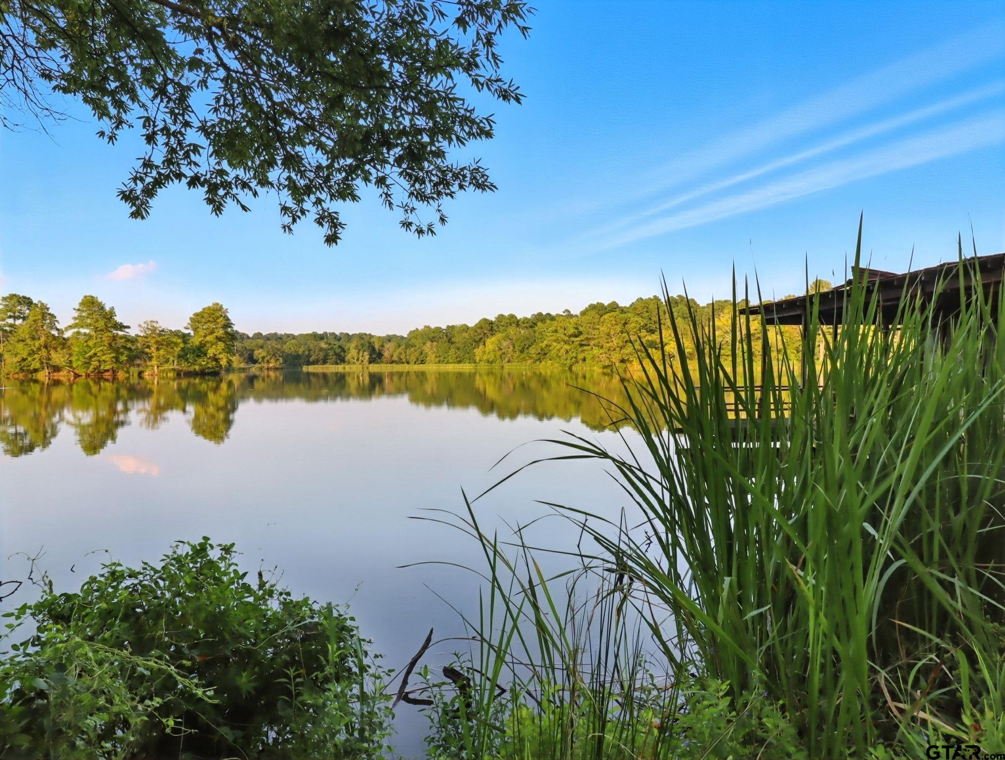 402 Watson Road Gladewater, TX 75647 - Photo 24 of 32 a view of lake